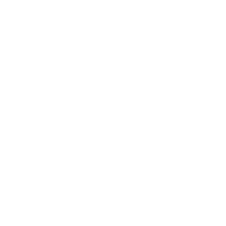 100% committed to quality